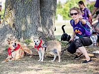Adoptuj Warszawiaka  Wydarzenie promujące adopcję zwierząt. Organizator: Schronisko dla Bezdomnych Zwierząt "Na Paluchu". 18 sierpnia 2019, Park Raszyński w Raszynie. : park raszyński, adoptuj warszawiaka, na paluchu, schronisko dla zwierząt, centrum warszawy, raszyn